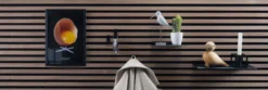 Dots knager til akustikpanel Ø4,5 cm sort - Køb i butik